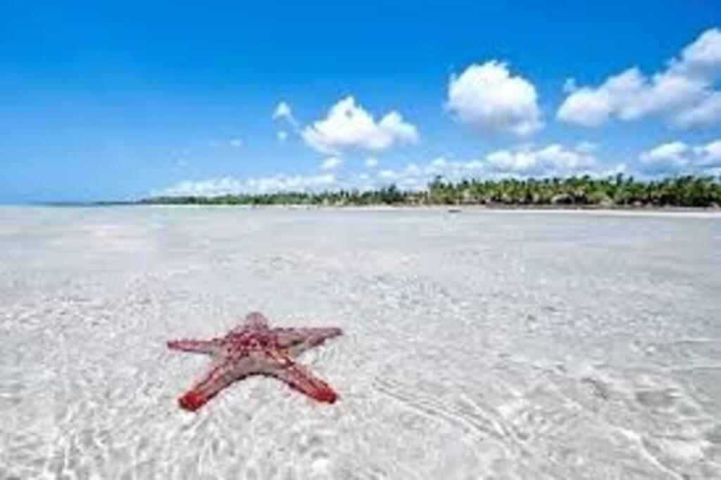 White Villa - Paparemo Beach Watamu Eksteriør billede