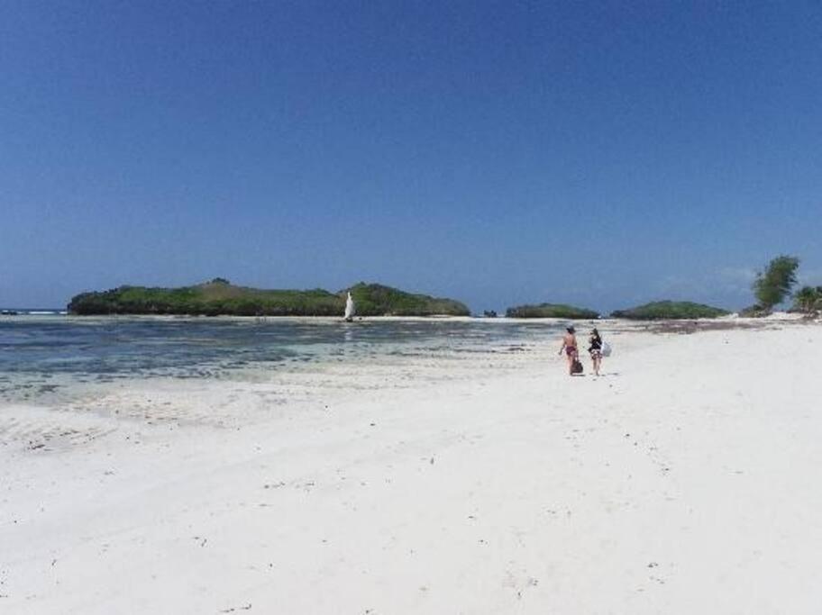 White Villa - Paparemo Beach Watamu Eksteriør billede